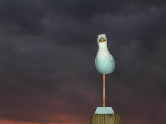 meer001.jpg