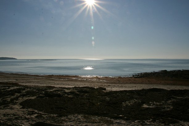 meer037.jpg